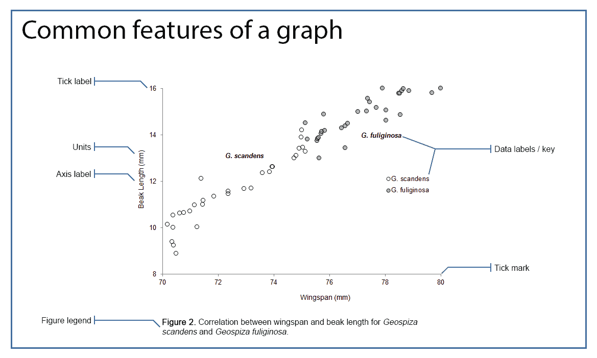 How to Identify Figures When Creating