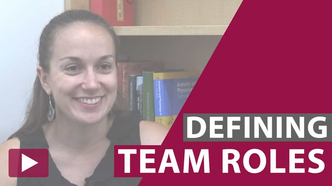 defining team roles video thumbnail